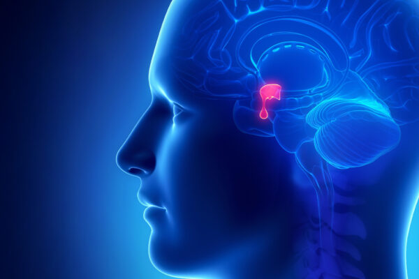 Pituitary Adenoma Blog